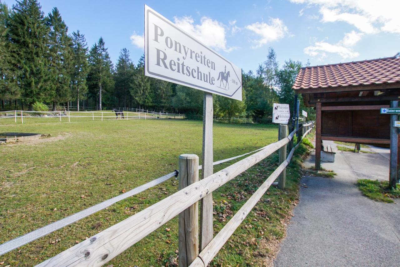 Charmante Ferienwohnung Mit Sauna Und Schwimmbad Im Zauberhaften Bayerischen Wald Sankt Englmar Ngoại thất bức ảnh